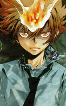 Tsunayoshi Sawada character art